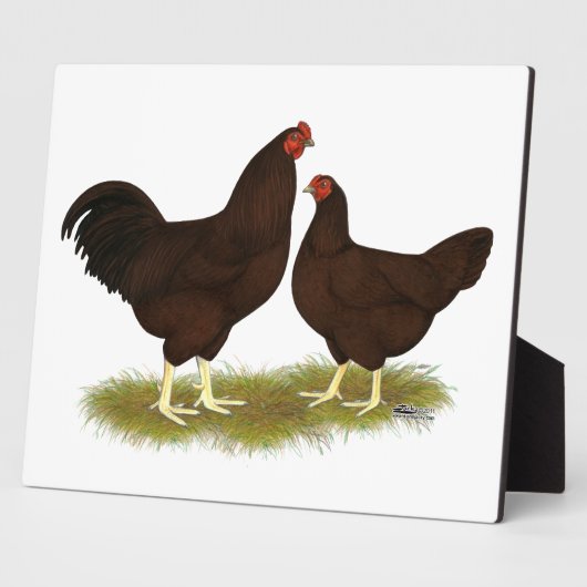 Buckeye Chickens Fotoplaat (Zijkant)