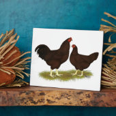 Buckeye Chickens Fotoplaat (Zijkant)