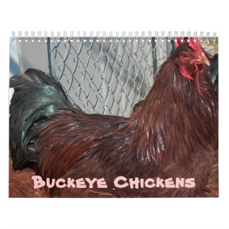 Buckeye Chickens Kalender 2013