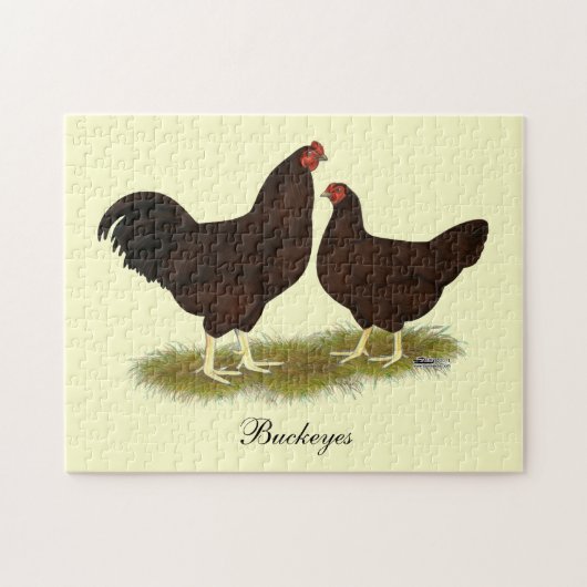 Buckeye Chickens Legpuzzel (Horizontaal)