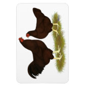 Buckeye Chickens Magneet (Verticaal)
