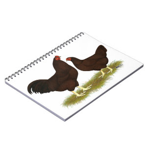 Buckeye Chickens Notitieboek