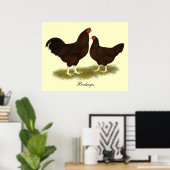 Buckeye Chickens Poster (Thuiskantoor)
