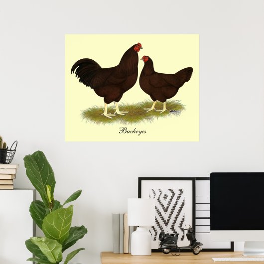 Buckeye Chickens Poster (Thuiskantoor)