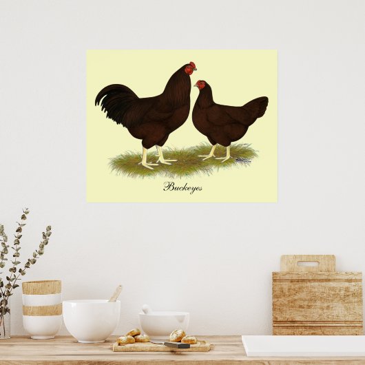 Buckeye Chickens Poster (Keuken)