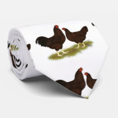 Buckeye Chickens Stropdas (Opgerold)