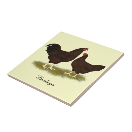 Buckeye Chickens Tegeltje (Zijkant)