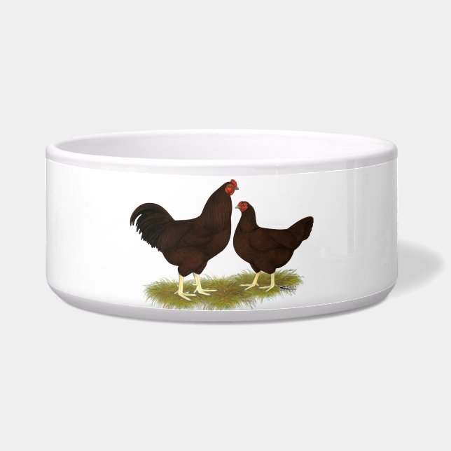 Buckeye Chickens Voerbakje (Voorkant)