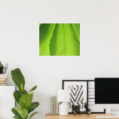 Buckeye Leaves Poster (Thuiskantoor)