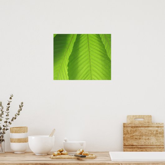 Buckeye Leaves Poster (Keuken)