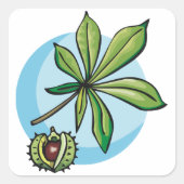 Buckeye Plant Vierkante Sticker (Voorkant)