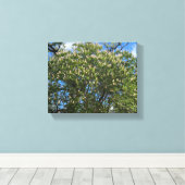 Buckeye Sky Canvas Afdruk (Insitu (Houten vloer))