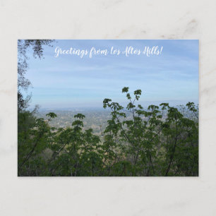 Buckeye uitzicht: Los Altos Hills Briefkaart