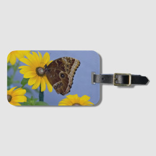 Buckeye vlinder op gele margriet bagagelabel