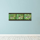 Buckeye Vlinder Triptiek Canvas Afdruk (Insitu (Houten vloer))
