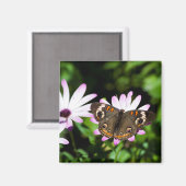 Buckeyvlinder op paarse bloemen magneet (Voorkant / Achterkant)