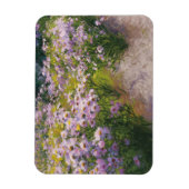 Buckhorn Aster Show Magneet (Verticaal)