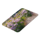 Buckhorn Aster Show Magneet (Linkerzijde)