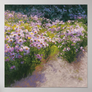 Buckhorn Aster Show Poster