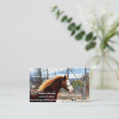 "Buckie" Een paard adopteren Visitekaartje (Staand voorkant)