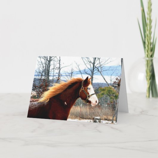 Buckie op Berg Rogers Kaart (Voorkant)