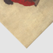 Bucking Bronco door Newell Convers Wyeth Tissuepapier (Detail)