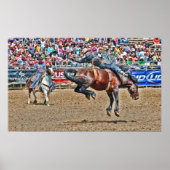 Bucking Bronco Poster (Voorkant)