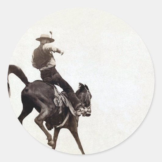 Bucking Bronco Ronde Sticker (Voorkant)