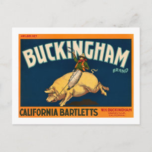 Buckingham Bartlett Apples -  krateletiket Briefkaart