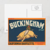 Buckingham Briefkaart (Voorkant / Achterkant)