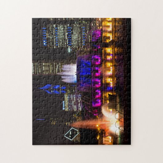 Buckingham Fountain Chicago Legpuzzel (Verticaal)