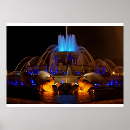 Buckingham Fountain Poster (Voorkant)