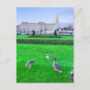 Buckingham Palace, Briefkaart van het Verenigd Kon