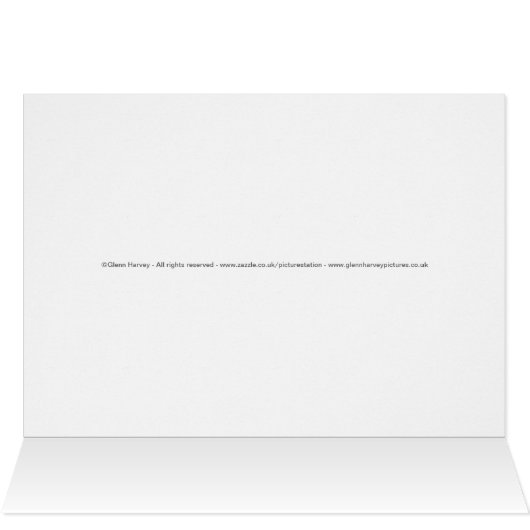 Buckingham Palace London (Binnen Horizontaal (Boven))