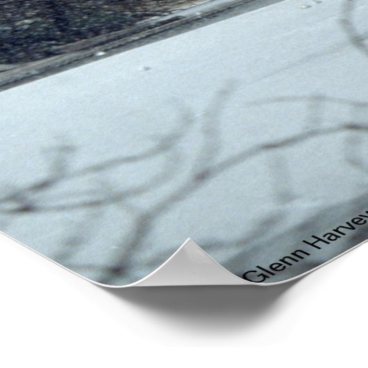 Buckingham Palace London Poster (Hoek)