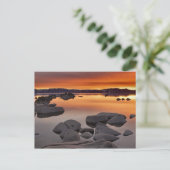 Buck's Beach Sunset, Lake Tahoe... Briefkaart (Staand voorkant)