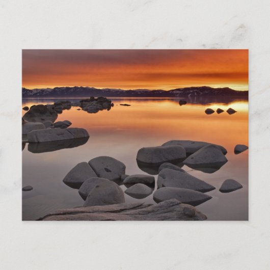 Buck's Beach Sunset, Lake Tahoe... Briefkaart (Voorkant)