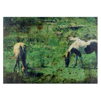 Buckskin and Pinto Grunge Snijplank