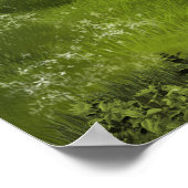 Buckskin Appaloosa Horse Poster (Hoek)