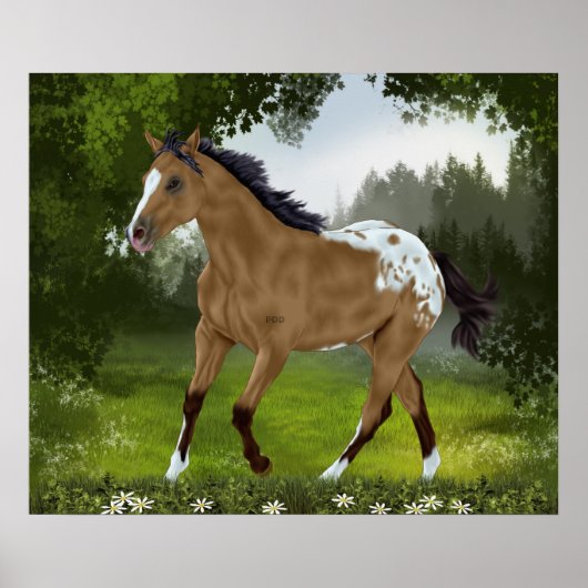 Buckskin Appaloosa Horse Poster (Voorkant)