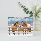 Buckskin Appaloosa paarden bij sneeuw Briefkaart (Staand voorkant)