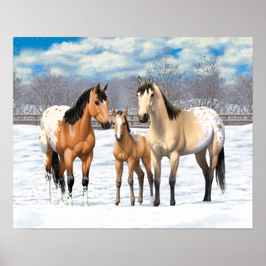 Buckskin Appaloosa paarden bij sneeuw Poster (Voorkant)