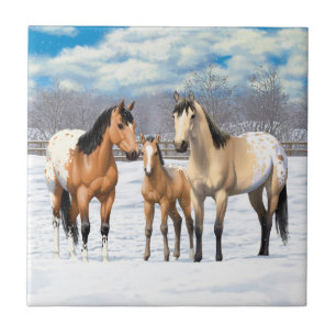 Buckskin Appaloosa paarden bij sneeuw Tegeltje
