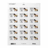 Buckskin Cartoon Shetland Pony Etiket (Full Sheet)