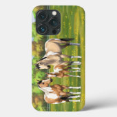 Buckskin deun verfpaarden in zomerdeeg Case-Mate iPhone case (Achterkant)