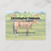 Buckskin Dun Quarter Horse Visitekaartje (Achterkant)