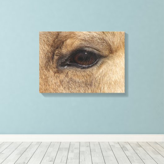 Buckskin Eye Canvas Afdruk (Insitu (Houten vloer))