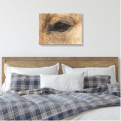 Buckskin Eye Canvas Afdruk (Insitu (Slaapkamer))