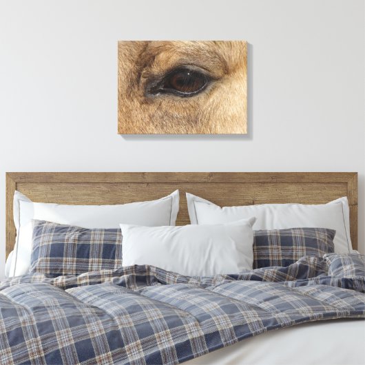 Buckskin Eye Canvas Afdruk (Insitu (Slaapkamer))