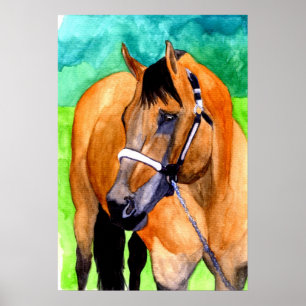 Buckskin Halter Horse Quarter Horse Portret Poster